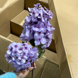 2 head panicle/cone Hydrangea Single Stem spray LILAC
