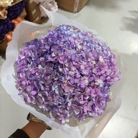 Single stem preserved Hydrangea purple