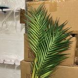 Phoenix palm greenery leaf bunch 5 head