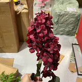 2 head panicle/cone Hydrangea Single Stem Spray Burgundy