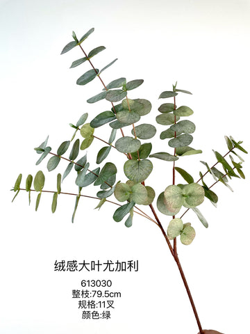 New Velvet feel Eucalyptus green spray Large