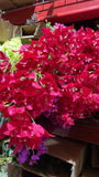 Bougainvillea hot pink wedding decoration silk fake flower