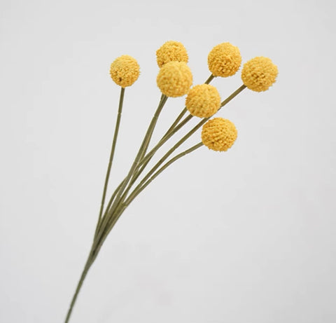 Craspedia yellow bud Single Stem yellow Pom ball artificial flower filler