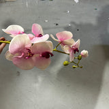 Large Phalaenopsis Orchid Artificial Flower (Pink) Silk wedding flower-B112626B