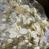 Cream Cross cosmos daisy ARTIFICIAL FLOWER HEAD WEDDING DECOR SUN FLOWER family white