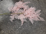 Soft Pink big Fern single stem filler