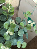 Eucalyptus leaf for Wedding home decor (Baby Blue) EUC2 - Richview Glass Wedding Supplies