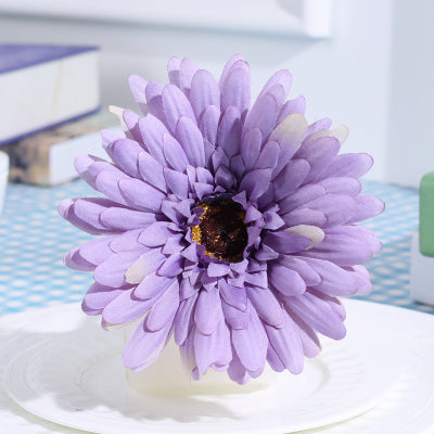 purple gerbera daisy
