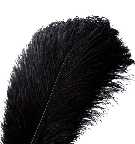 OSTRICH FEATHER PLUMES (25-28” )black