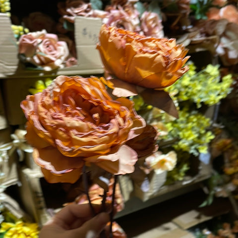 Burnt Orange 3 head PEONIES With burnt edge single SPray stem