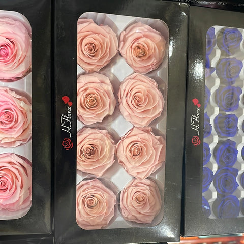 Preserved dusty Rose Pink (box of 8)