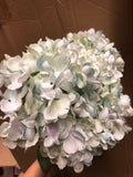 Light blue Hydrangea Bunch 6 head silk fall Color