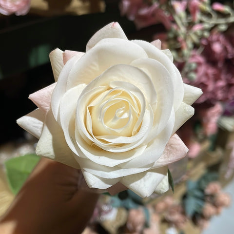 Moist Touch Rose Single Stem Rose (White with pink edge) small