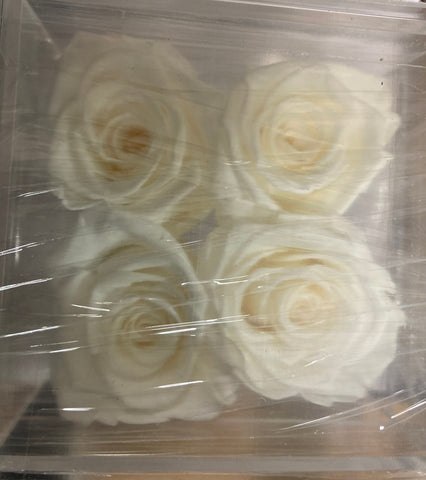 Preserved Rose in acrylic box with drawer White (box of 4)