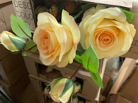 Single Stem RocoCo Rose champagne yellow