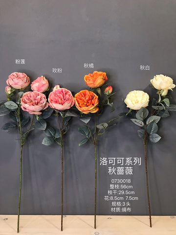 Single Stem RocoCo Austin Rose orange