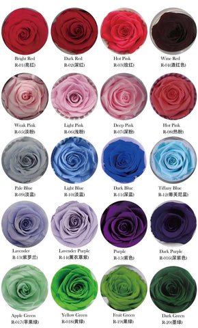 Preserved Rose Head Pink (box of 6)