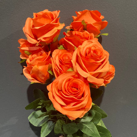 10 head Orange Rose
