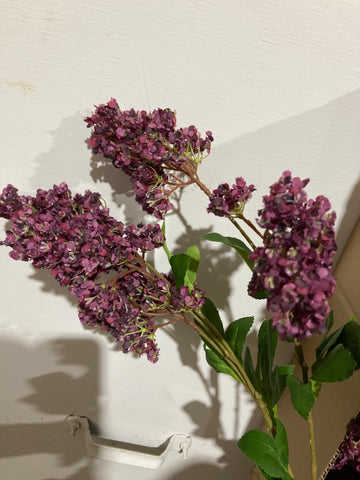 Single stem Hydrangea Dark Purple Spray Single Stem