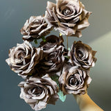 Rose Bunch 9 head Chocolate