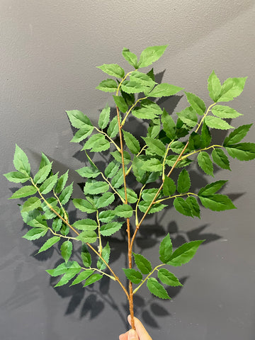 New Leaf artificial greenery ficus
