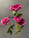 Wild Rose Spray hot pink (s)
