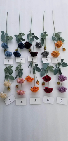 Champagne Single Stem Rose SPRAY wild rose 2 rose 1 bud 2+1