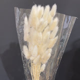 Dried cream Lagurus Bunny Tail grass (bundle of 50)