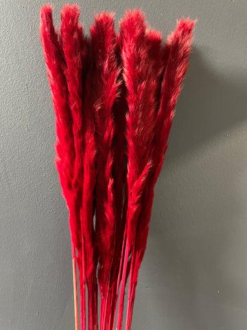 25" Burgundy mini pampas grass stick (M)