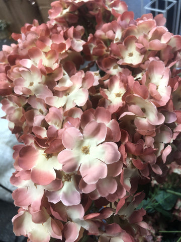 Two tone dusty orange Hydrangea Bunch 6 head Silk Fall Color