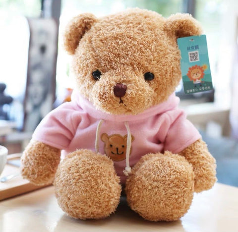 12.5" Brown Bear with pink sweater