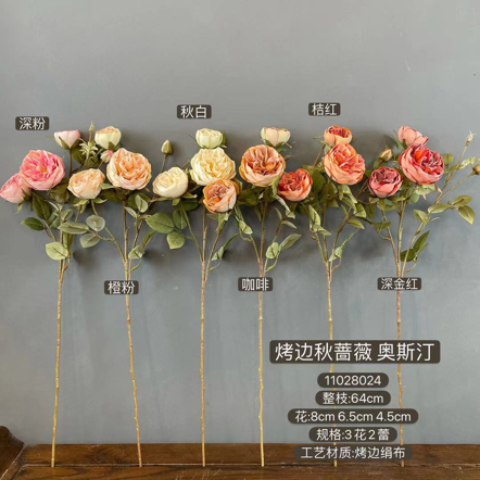 Light pink with burnt edge Single Stem RocoCo Austin Rose