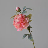 Coral Single Stem Peonies spray also in pink or white