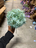 New Star Ball Pom( Teal Blue)