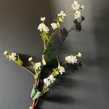 New White Rosa Banksiae Spray
