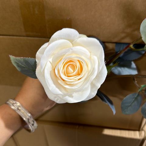 Rococco Roses Single Stem RocoCo Rose cream fall color