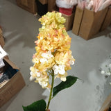 Burnt edge cone Hydrangea Single Stem spray(Yellow)