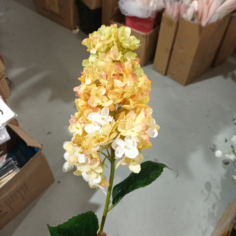 Burnt edge cone Hydrangea Single Stem spray(Yellow)