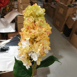 Burnt edge cone Hydrangea Single Stem spray(Yellow)