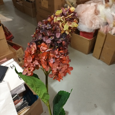 Burnt edge cone Hydrangea Single Stem spray(Burgundy)