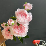 New 3 Head Light Pink Peony Spray