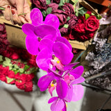 Fushcia LARGE REAL TOUCH PHALAENOPSIS ORCHID ARTIFICIAL FLOWER