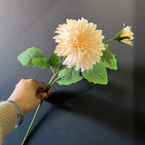 New Blush Dahlia spray(1 head and 1 bud )