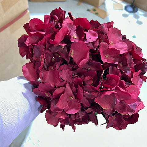 New 7 Head Burgundy Hydrangea Bunch