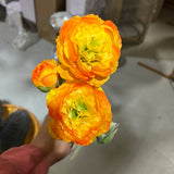 3 head Orange Single stem Ranunculus Puffy Spray