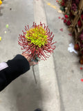New Red Pin Cushion