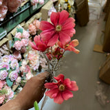 Hot Pink Cosmos SUN FLOWER family