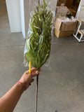 New 30" Real Touch Norfolk Pine Branch Christmas greenery