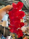 PHALAENOPSIS ORCHID ARTIFICIAL Red real touch