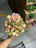Moist Touch Real Touch Hydrangea Two Tone Peegee pink green